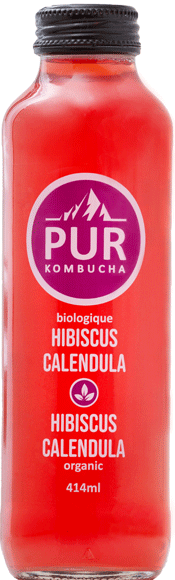 hibiscus-purkombucha2020